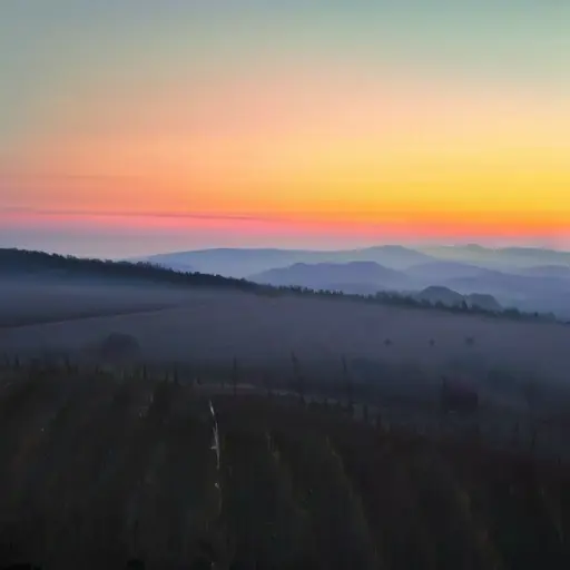 Энергия утренней простоты: новый взгляд на день